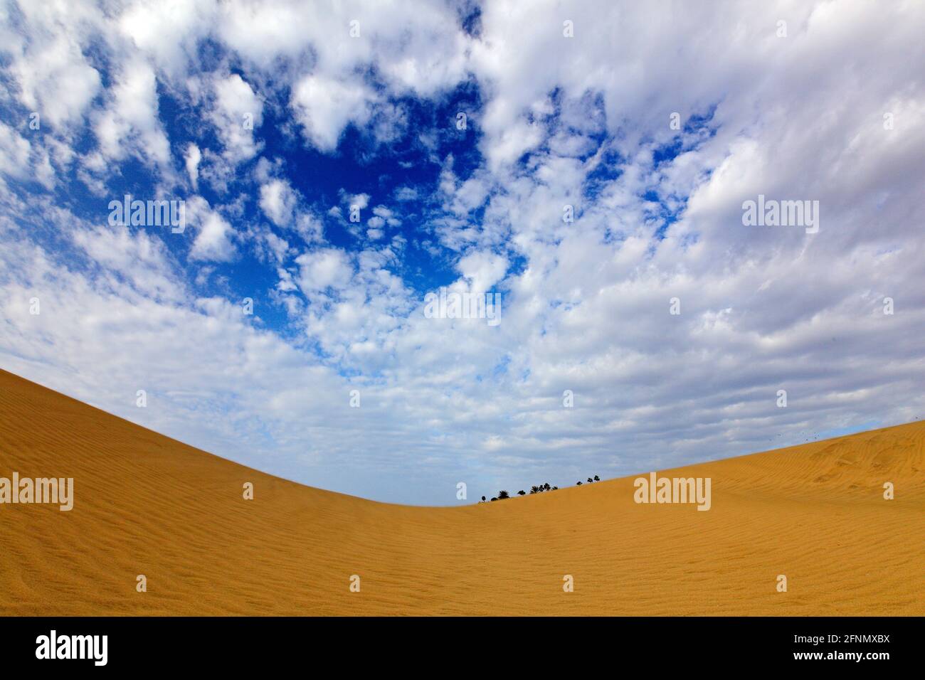 Paysage sec d'été en Afrique. Pierres de galet noires. Vagues de sable dans la nature sauvage. Dunas Maspalomas, Grande Canarie, Espagne. Beau ciel bleu rare wi Banque D'Images