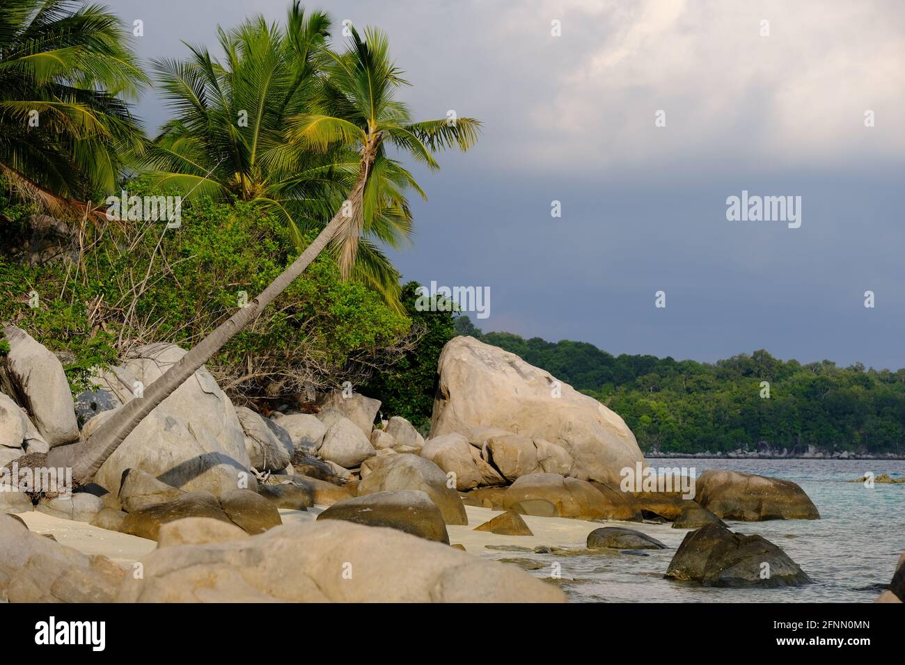 Indonésie Iles Anambas - Plage de l'île de Telaga avec palmiers et des rochers Banque D'Images