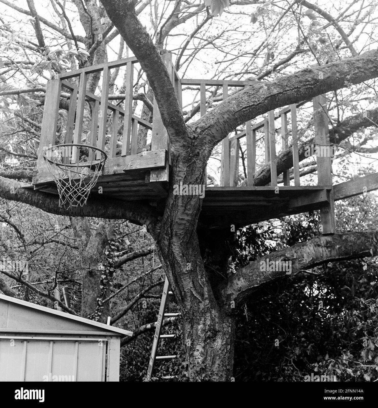 Tree-House Medstead, Hampshire, Angleterre, Royaume-Uni. Banque D'Images