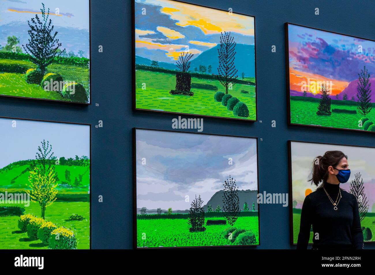 Londres, Royaume-Uni. 18 mai 2021. David Hockney : l'arrivée du printemps,  Normandie, 2020 à l'Académie royale. L'exposition comprend un nouveau corps  d'œuvre créé par Hockney, qui trace le déroulement et la progression