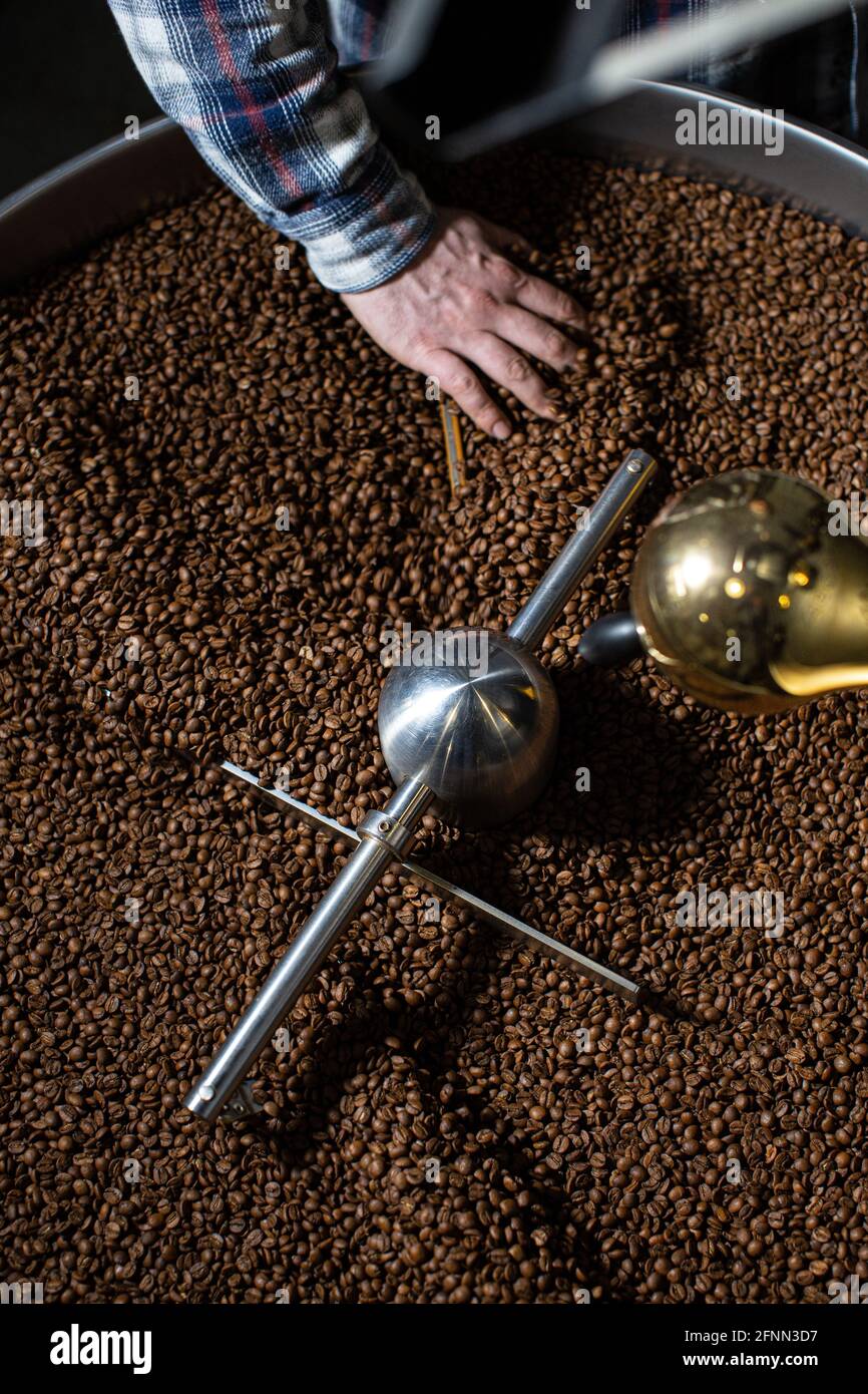 Homme tenant des grains de café torréfiés , main de l'homme tenant des grains de café de rôtir Banque D'Images