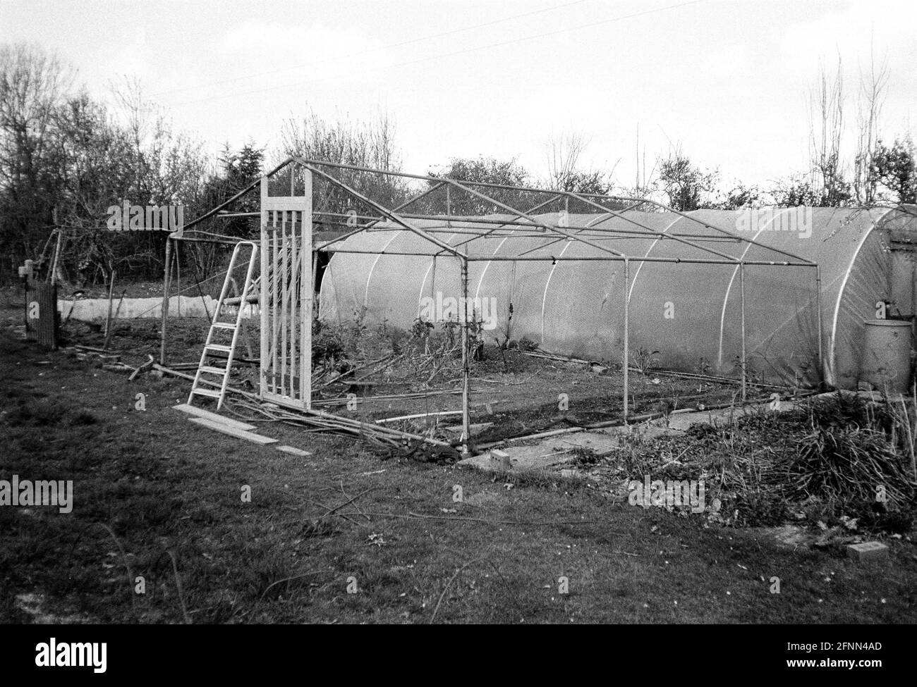 Fruit cage et poly tunnel, Hattingley, Hampshire, Angleterre, Royaume-Uni. Banque D'Images