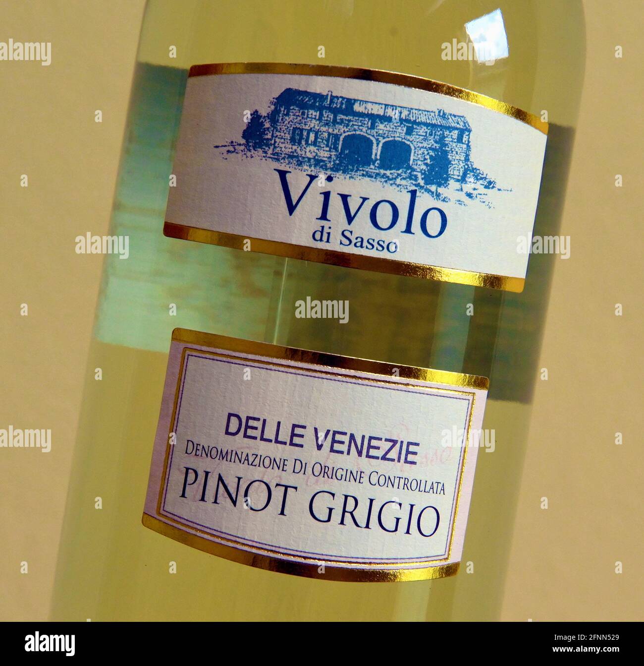 Étiquette de vin. Vivolo di Sasso. Delle Venezie. Denominazione di origine Controlata. Pinot Grigio. Banque D'Images