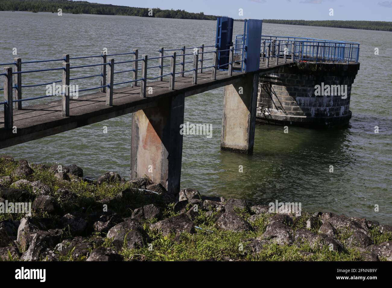 Mare aux Vacoas est le plus grand réservoir de l'île Maurice. Banque D'Images