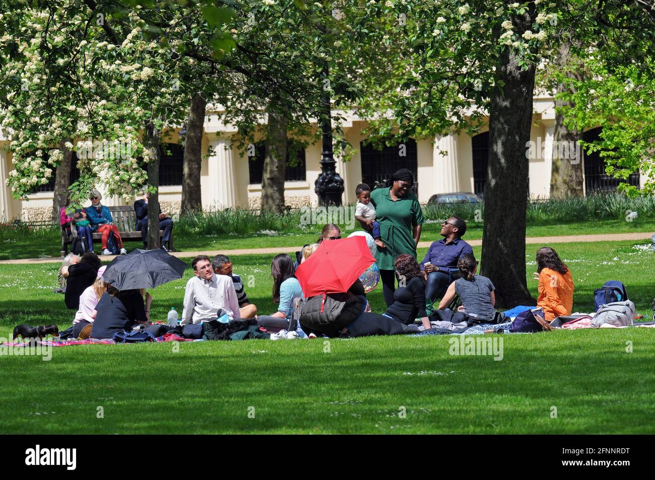 Londres, Royaume-Uni. 18 mai 2021. Profitez du soleil dans le parc St James. Soleil et douches dans le centre de Londres. Credit: JOHNNY ARMSTEAD/Alamy Live News Banque D'Images