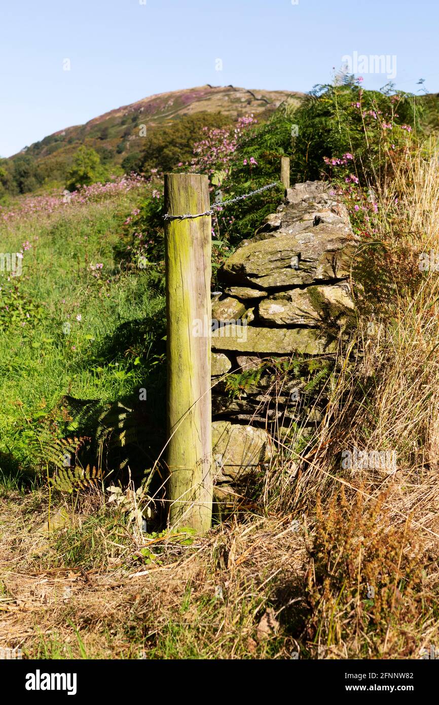 Un mur en pierre sèche et une clôture barbelée à Cumbria, en Angleterre. Le lichen pousse sur le mur. Banque D'Images