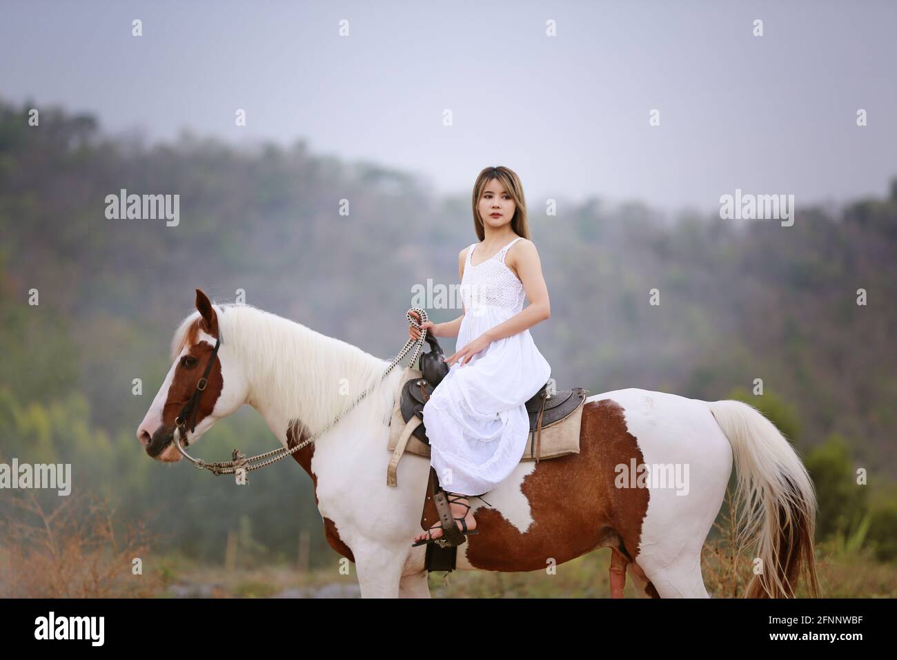 Femmes sur jupe robe équitation chevaux sur le terrain paysage contre Ciel  au coucher du soleil Photo Stock - Alamy