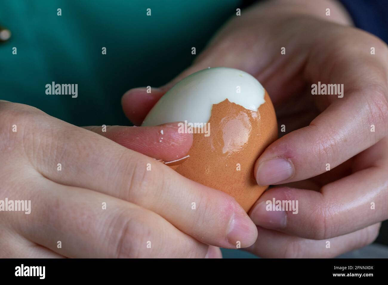 Un portrait rapproché des mains d'une personne qui épluche la coquille d'un œuf  dur, le rendant prêt à manger pour le petit déjeuner, le déjeuner ou  peut-être dîner dans un Photo Stock 