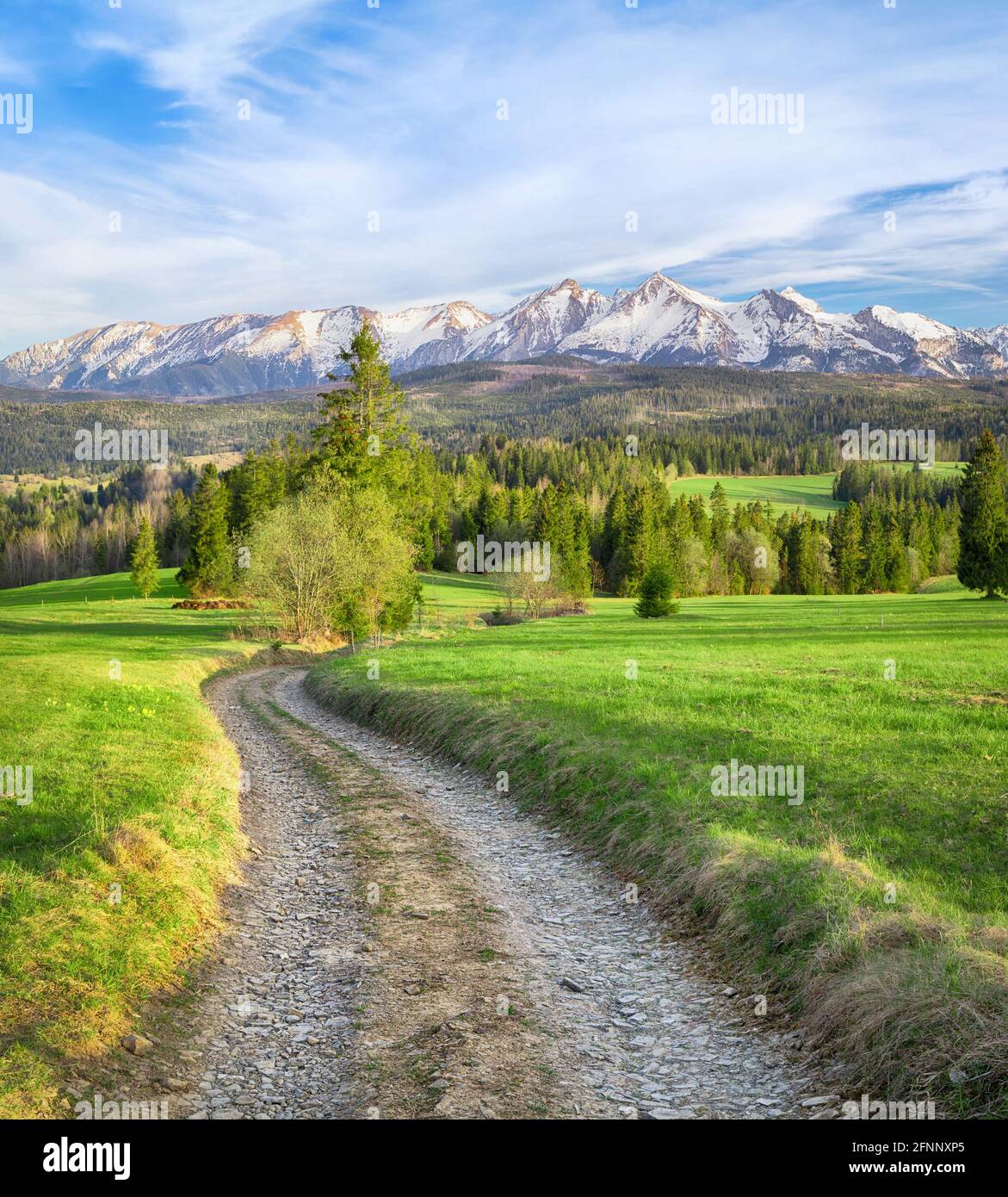 Route de campagne dans les contreforts des montagnes Tatras, Pologne. Banque D'Images