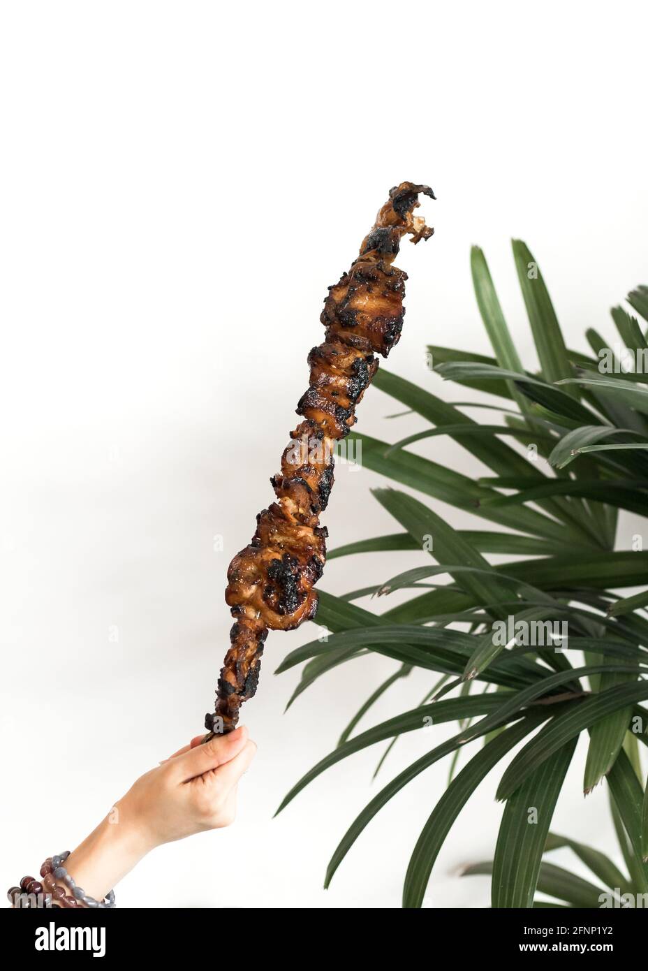 Barbecue de poulet philippin sur une brochette tenue haut par un