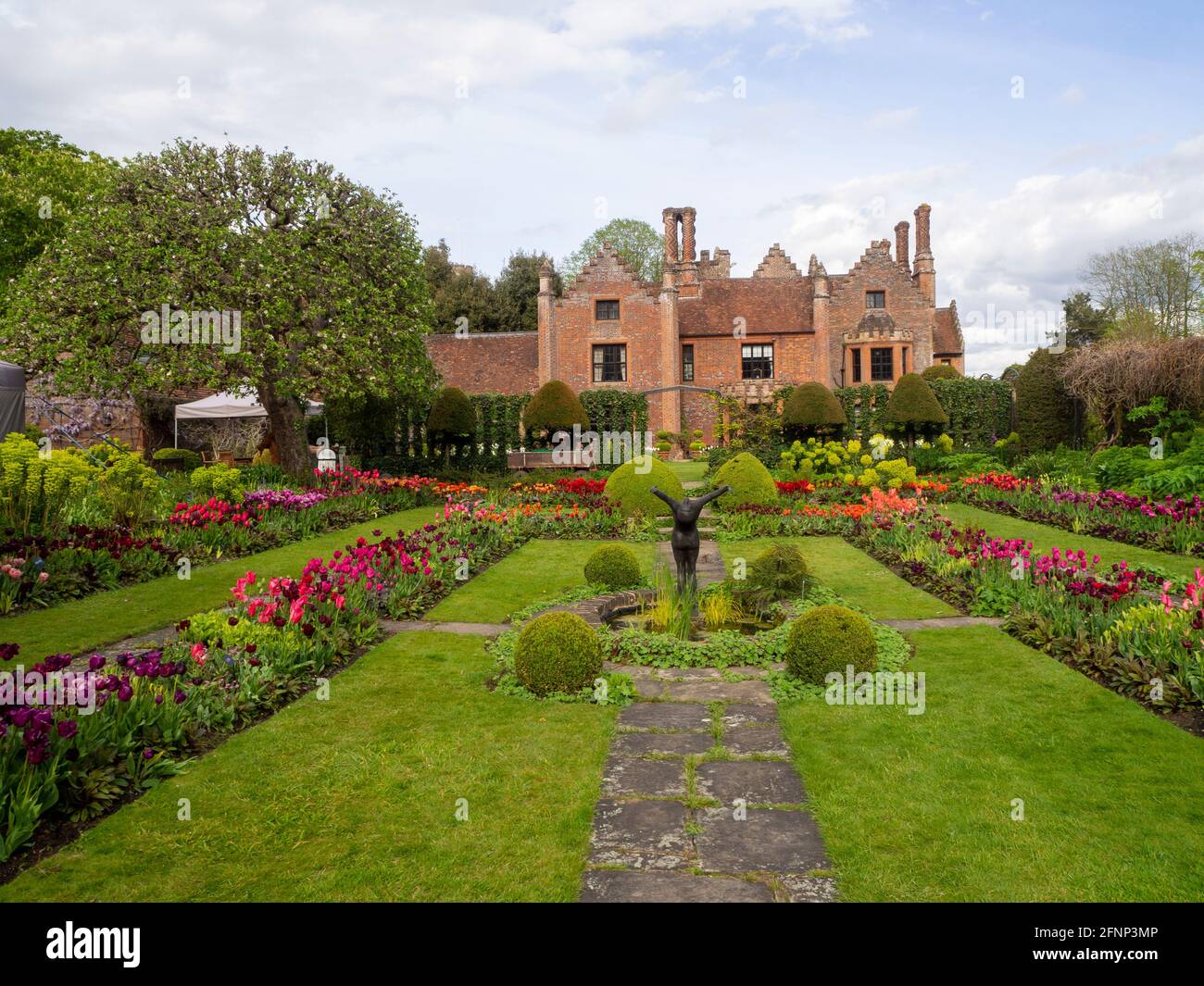 Chenies Manor House et jardin en contrebas en mai 2021, montrant le magnifique affichage de tulipes colorées de fleurs rouges, orange, pourpres et pelouse verte luxuriante. Banque D'Images
