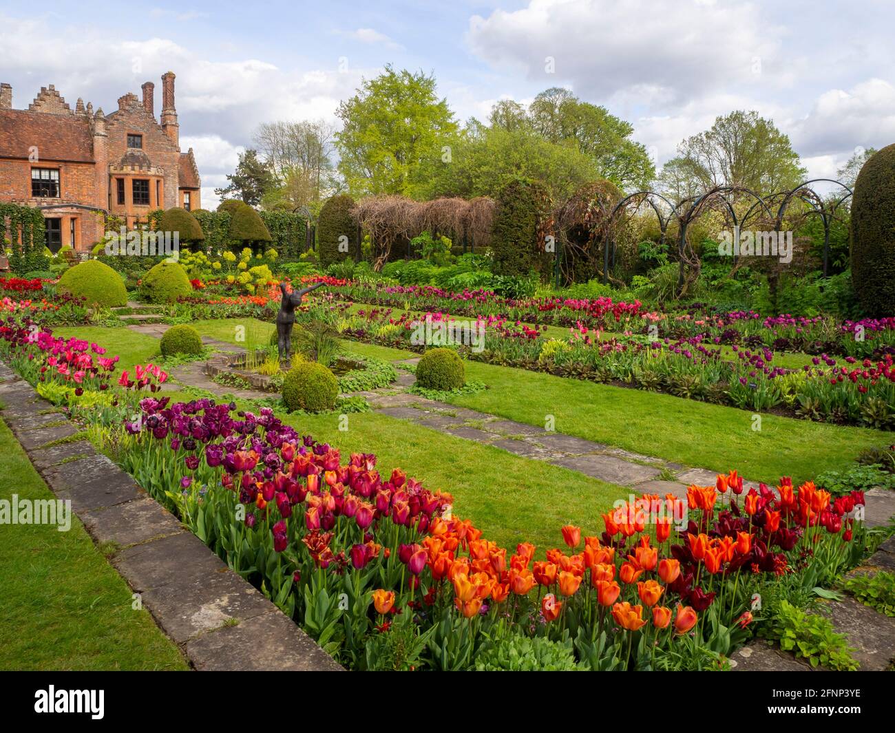 Chenies Manor House et jardin en contrebas en mai 2021, montrant le magnifique affichage de tulipes colorées de fleurs rouges, orange, pourpres et pelouse verte luxuriante. Banque D'Images