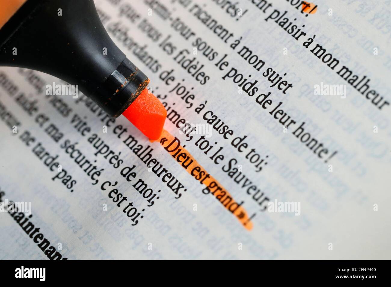 Femme étudiant la bible. Gros plan à portée de main et surligneur. France  Photo Stock - Alamy