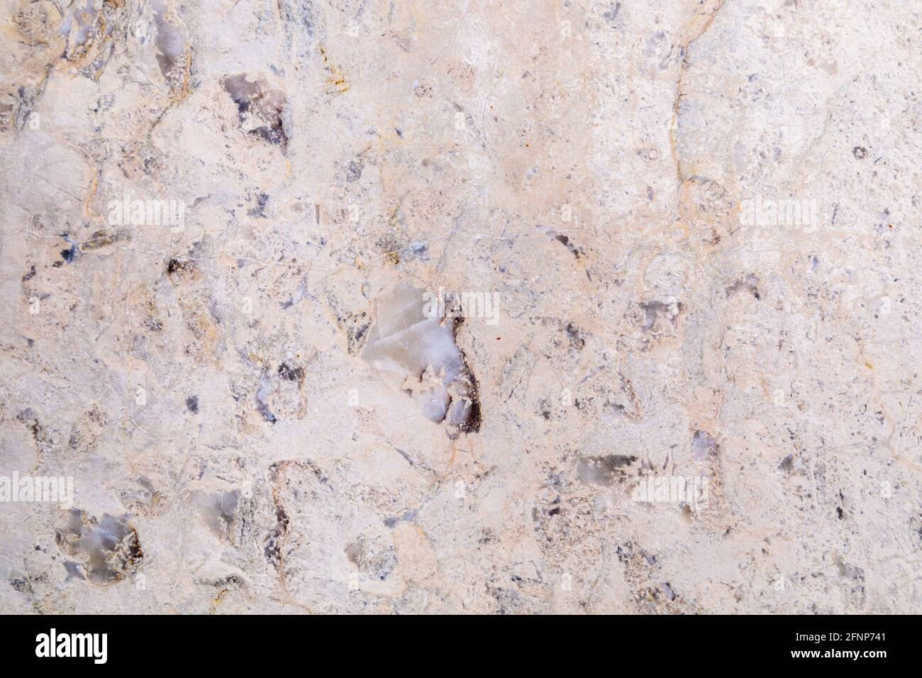 Texture de pierre naturelle de dolomite. Pierre avec motif beige sur une surface lisse. Finition du matériau de construction. Banque D'Images