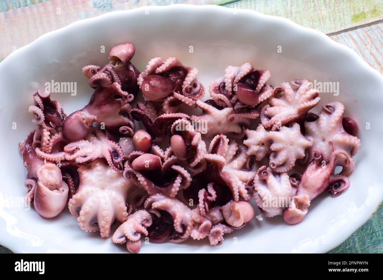 Peu de poulpes sur une assiette sur un fond de bois de couleur.fruits de mer saine photo de nourriture. Banque D'Images