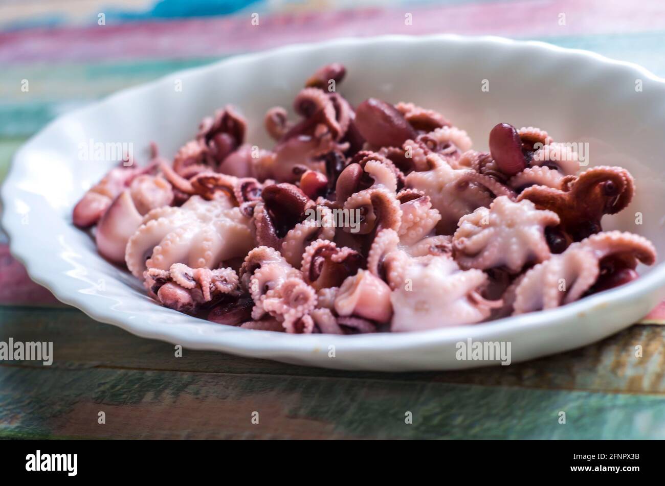 Peu de poulpes sur une assiette sur un fond de bois de couleur.fruits de mer saine photo de nourriture. Banque D'Images