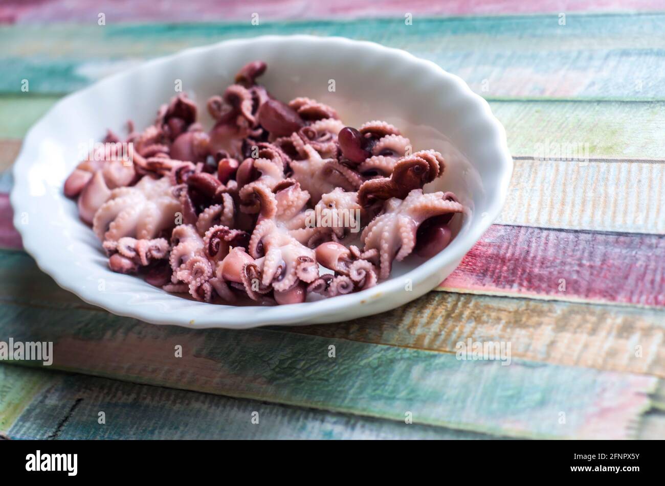 Peu de poulpes sur une assiette sur un fond de bois de couleur.fruits de mer saine photo de nourriture. Banque D'Images