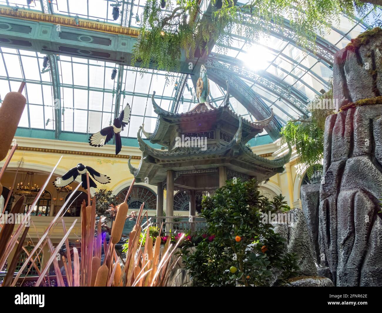 Las Vegas, 11 FÉVRIER 2021 - décoration chinoise du nouvel an dans le conservatoire et les jardins botaniques du Bellagio Banque D'Images
