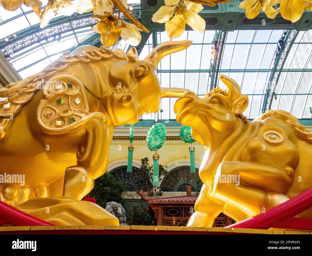 Las Vegas, 11 FÉVRIER 2021 - décoration chinoise du nouvel an dans le conservatoire et les jardins botaniques du Bellagio Banque D'Images