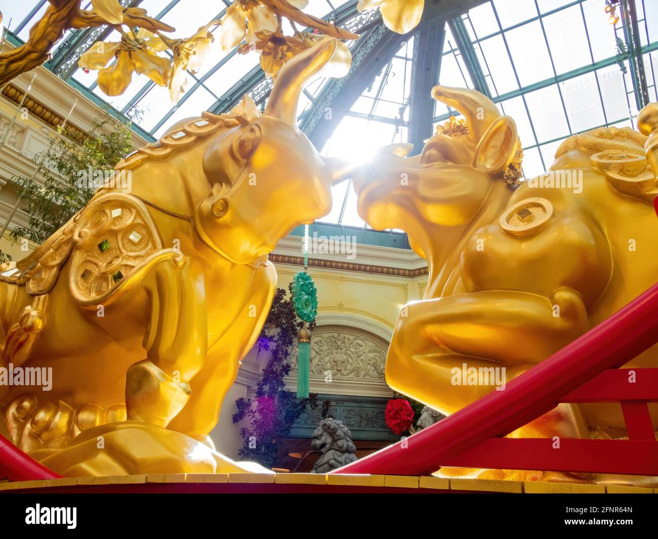 Las Vegas, 11 FÉVRIER 2021 - décoration chinoise du nouvel an dans le conservatoire et les jardins botaniques du Bellagio Banque D'Images