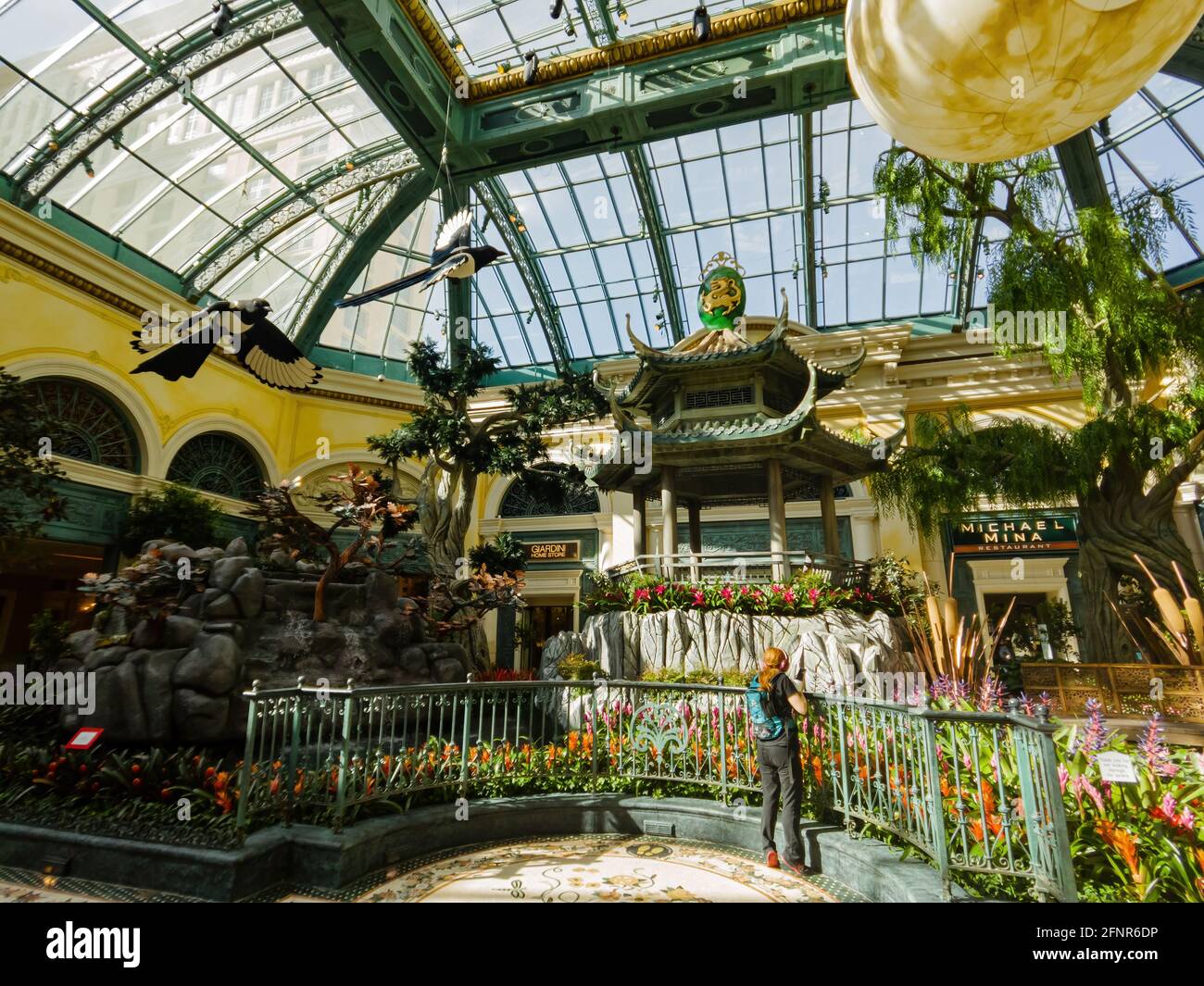 Las Vegas, 11 FÉVRIER 2021 - décoration chinoise du nouvel an dans le conservatoire et les jardins botaniques du Bellagio Banque D'Images