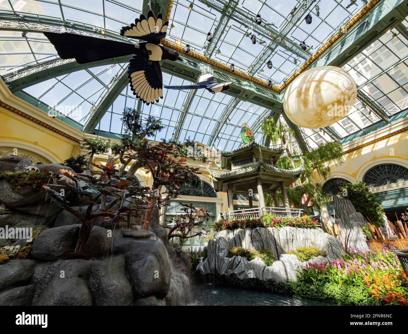 Las Vegas, 11 FÉVRIER 2021 - décoration chinoise du nouvel an dans le conservatoire et les jardins botaniques du Bellagio Banque D'Images