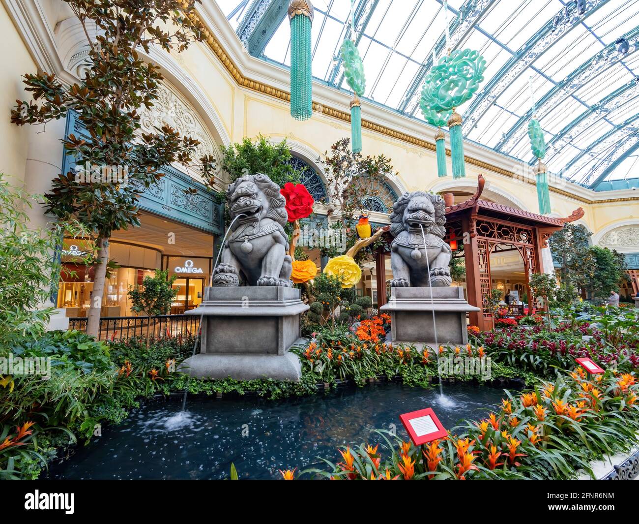 Las Vegas, 11 FÉVRIER 2021 - décoration chinoise du nouvel an dans le conservatoire et les jardins botaniques du Bellagio Banque D'Images