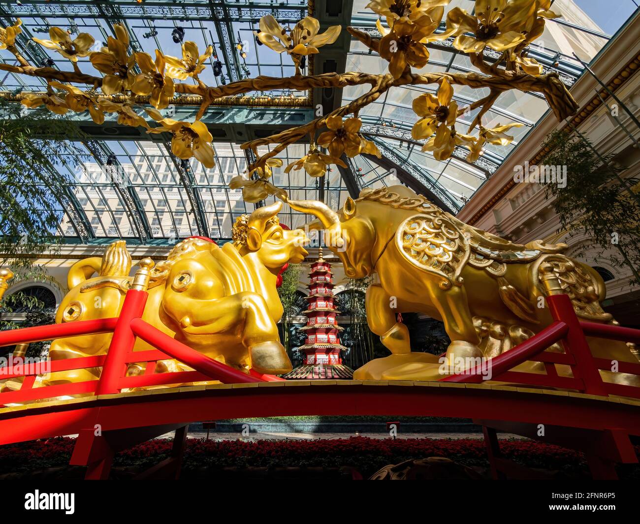 Las Vegas, 11 FÉVRIER 2021 - décoration chinoise du nouvel an dans le conservatoire et les jardins botaniques du Bellagio Banque D'Images