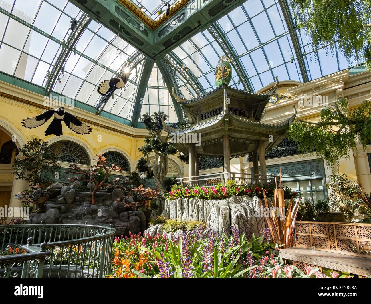 Las Vegas, 11 FÉVRIER 2021 - décoration chinoise du nouvel an dans le conservatoire et les jardins botaniques du Bellagio Banque D'Images