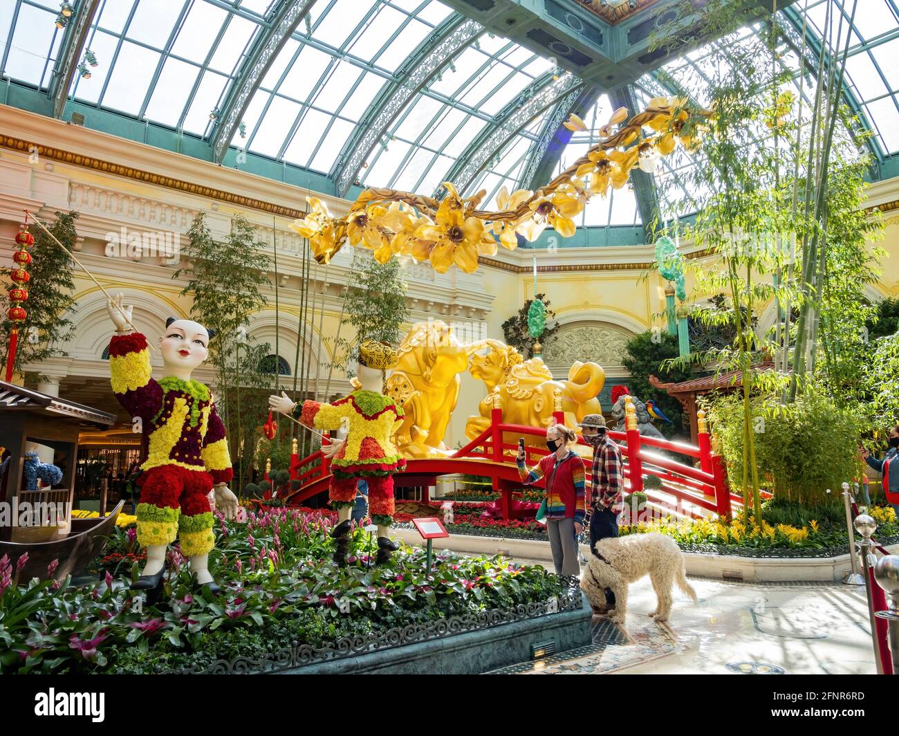 Las Vegas, 11 FÉVRIER 2021 - décoration chinoise du nouvel an dans le conservatoire et les jardins botaniques du Bellagio Banque D'Images