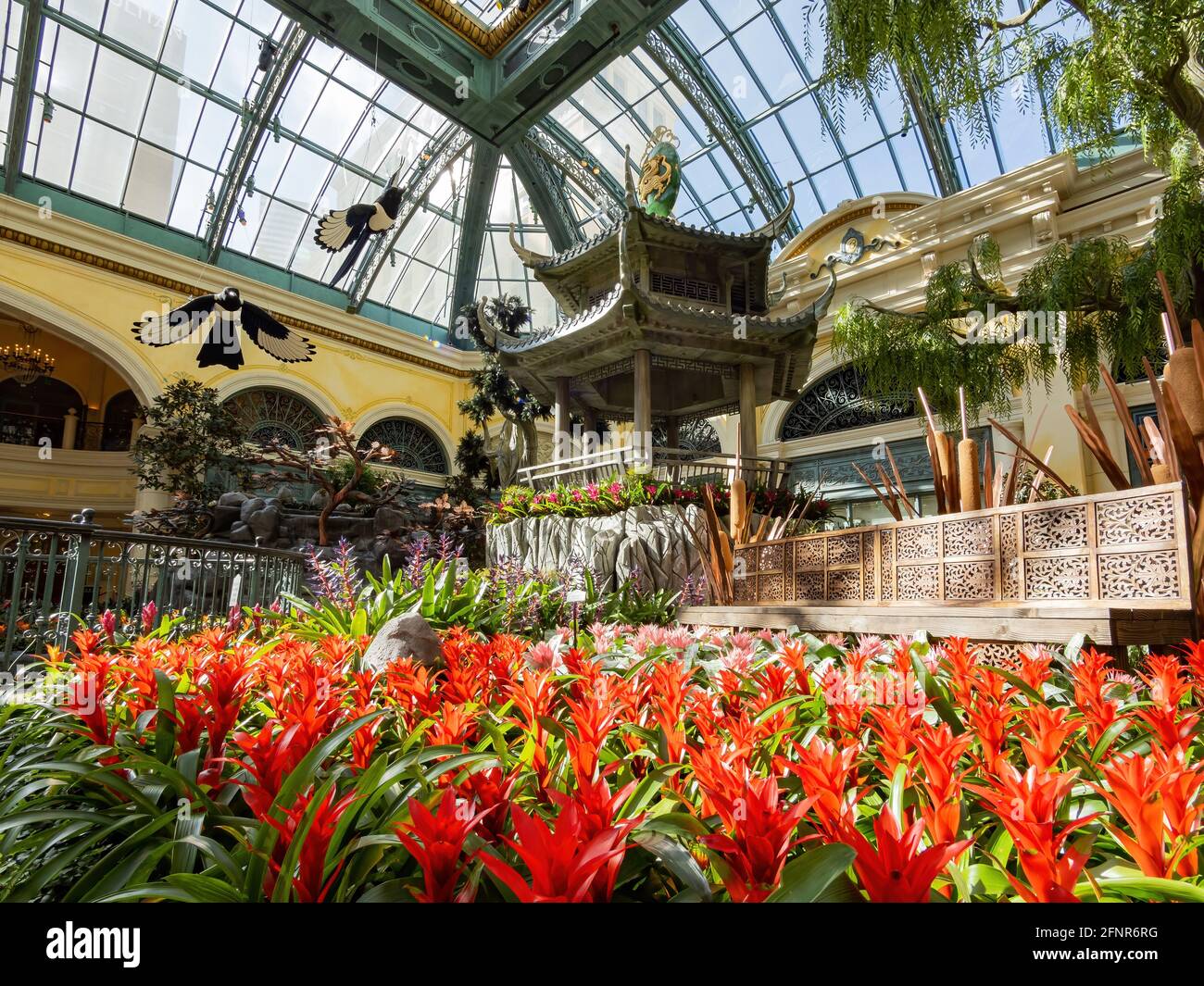 Las Vegas, 11 FÉVRIER 2021 - décoration chinoise du nouvel an dans le conservatoire et les jardins botaniques du Bellagio Banque D'Images