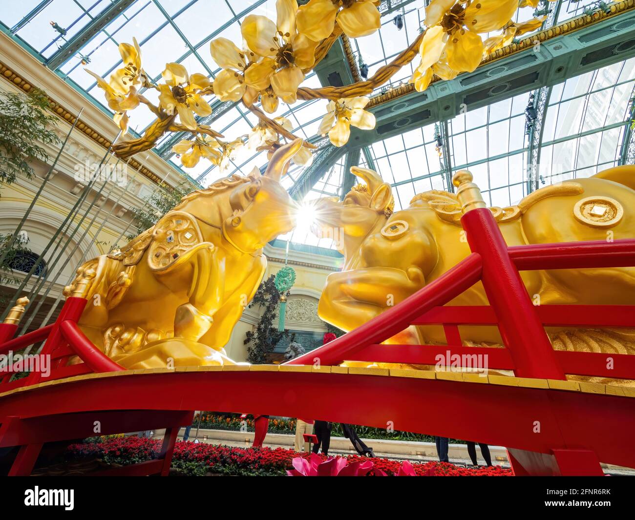 Las Vegas, 11 FÉVRIER 2021 - décoration chinoise du nouvel an dans le conservatoire et les jardins botaniques du Bellagio Banque D'Images