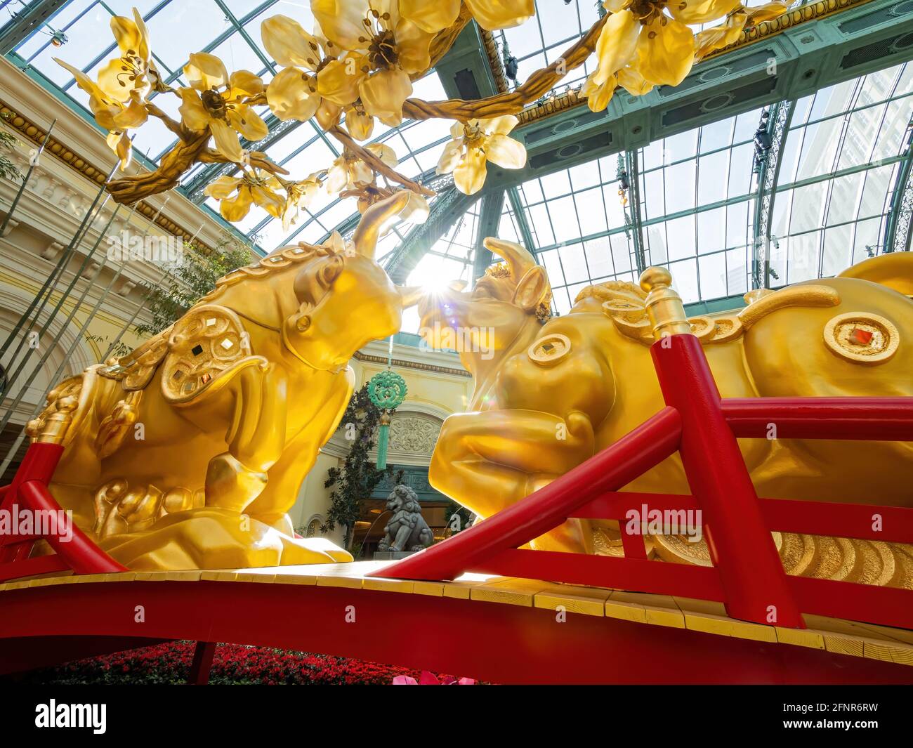 Las Vegas, 11 FÉVRIER 2021 - décoration chinoise du nouvel an dans le conservatoire et les jardins botaniques du Bellagio Banque D'Images