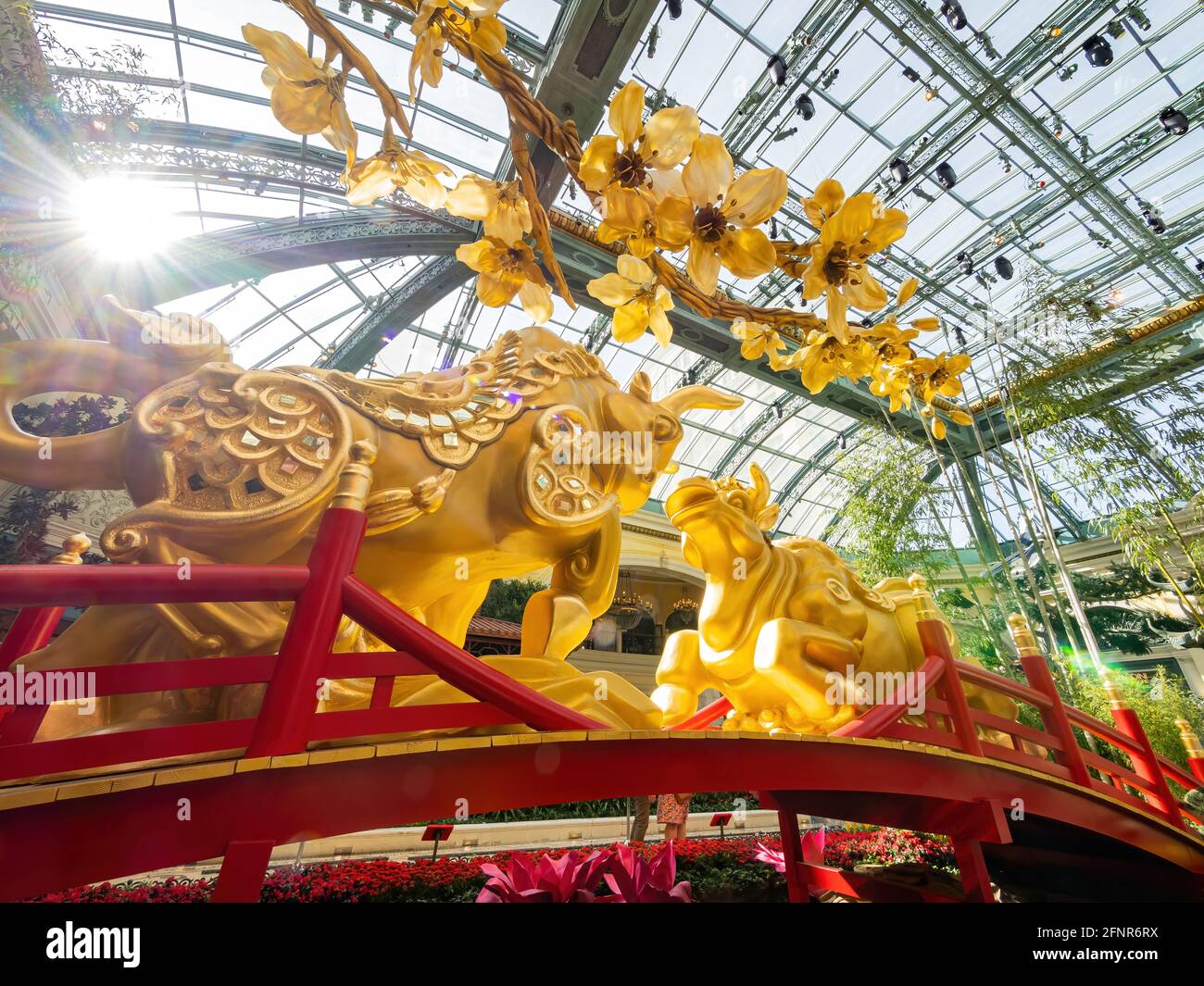 Las Vegas, 11 FÉVRIER 2021 - décoration chinoise du nouvel an dans le conservatoire et les jardins botaniques du Bellagio Banque D'Images