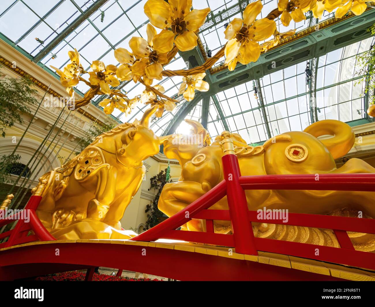 Las Vegas, 11 FÉVRIER 2021 - décoration chinoise du nouvel an dans le conservatoire et les jardins botaniques du Bellagio Banque D'Images