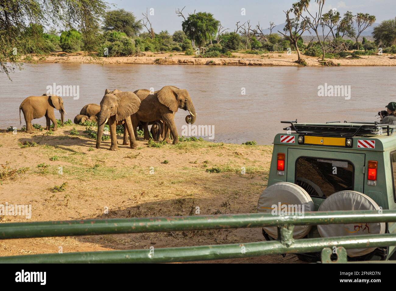 véhicules safari avec des touristes observant des éléphants au Samburu National Réserve près de la rivière Banque D'Images