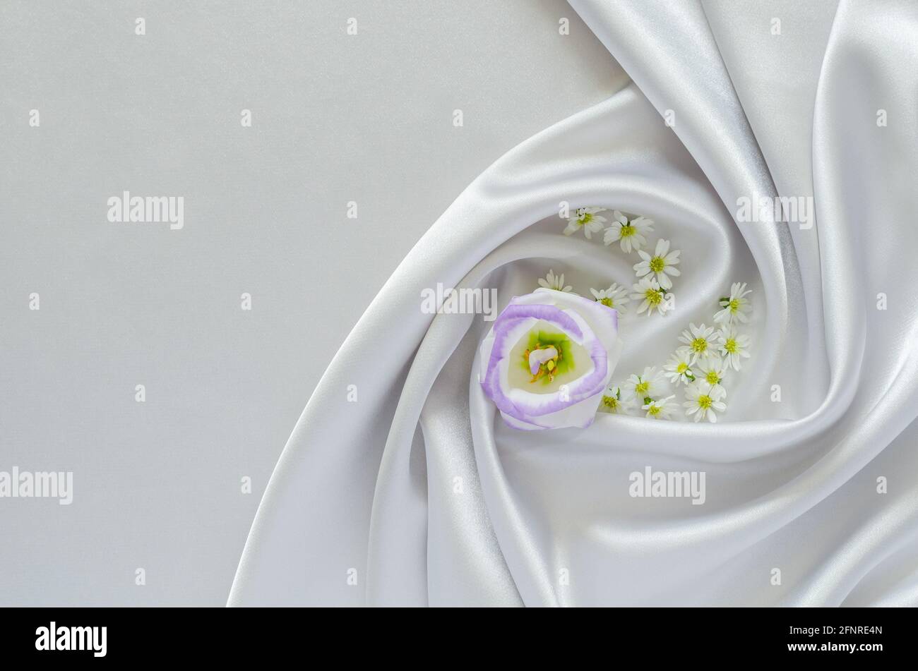 Élégant tissu gris satiné ondulé et lisse texture de fond avec des fleurs. Concept abstrait, texture et mariage. Banque D'Images