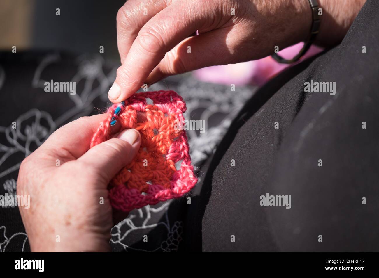 Les mains d'une femme plus âgée créent des textiles en utilisant un crochet en crochet pour interconnecter des boucles de fils, de fils ou de fils d'autres matériaux Banque D'Images