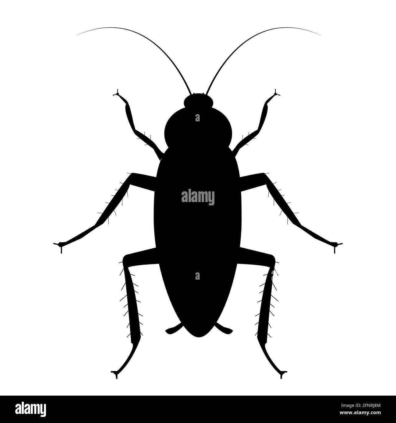 icône insecte cafard sur fond blanc. panneau cafard. style plat. spray insecte et symbole insecticide. Banque D'Images