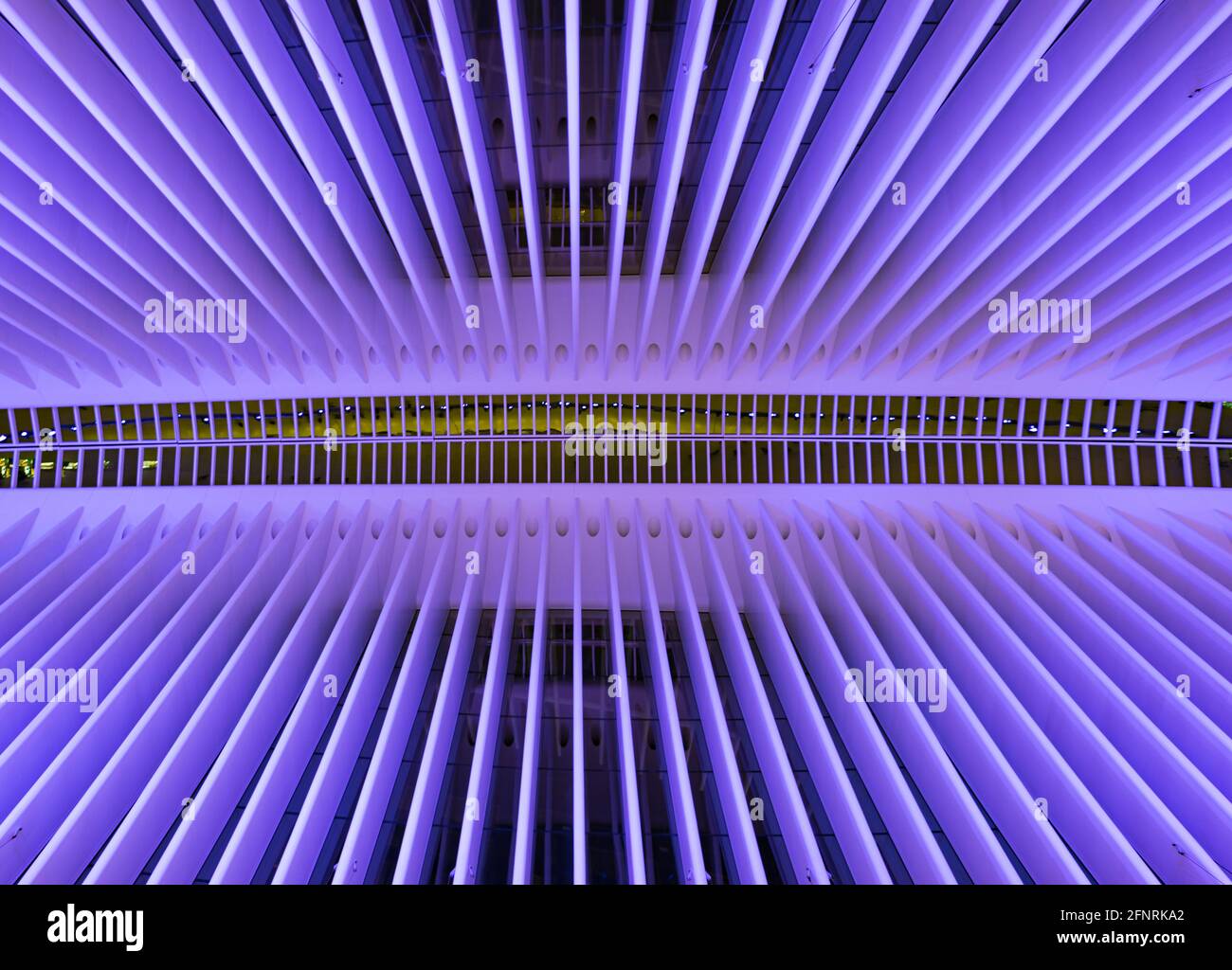 Conception symétrique violet Banque D'Images