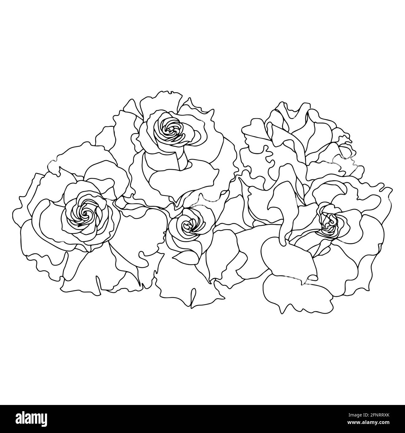 bouquet roses boutons ouverts noir blanc isolé vecteur main illustration Banque D'Images