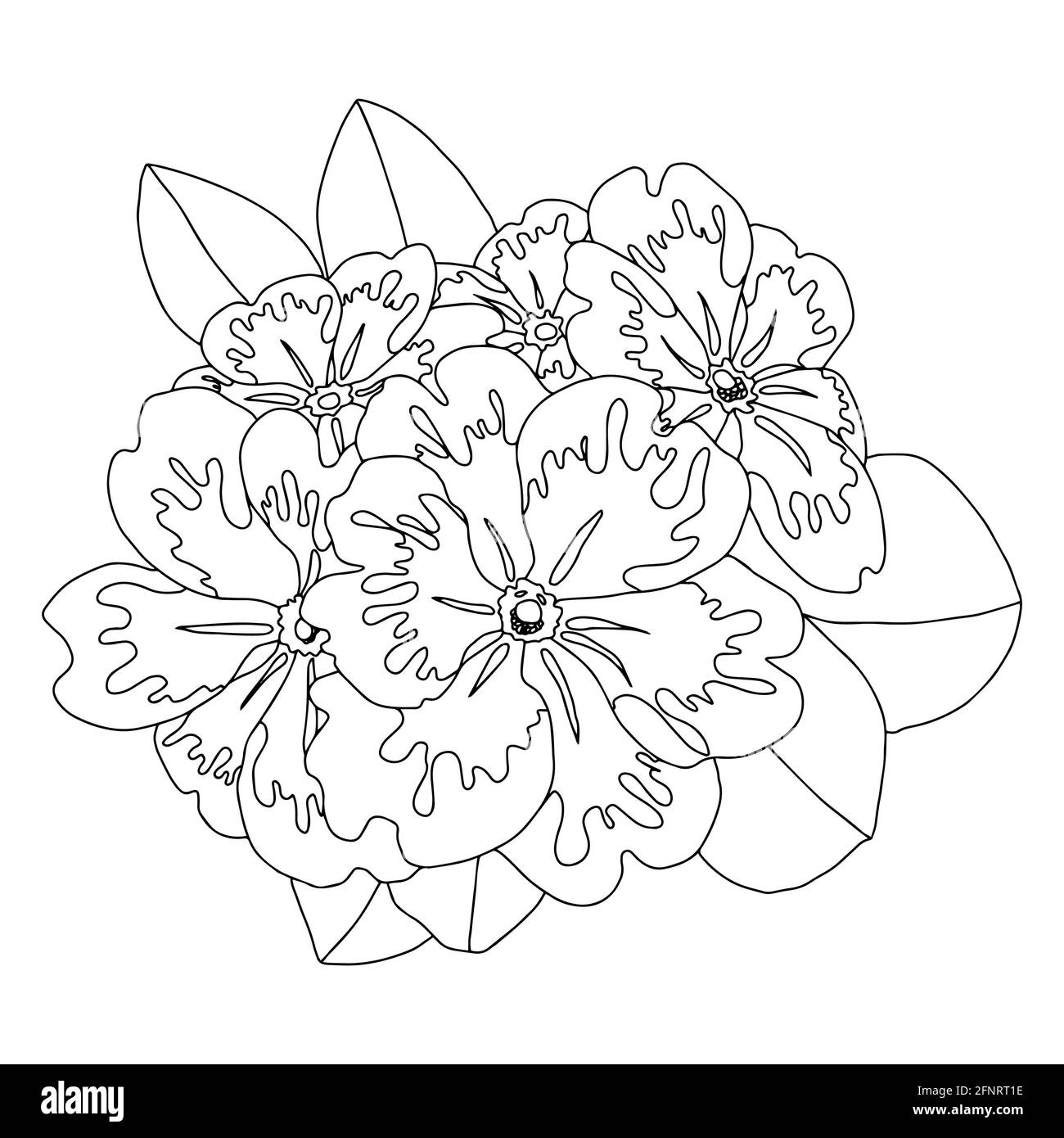fleurs de branche de fleurs avec des feuilles ouvertes fleurs vecteur isolé Banque D'Images