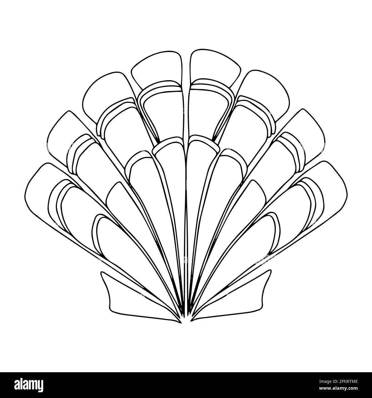 seashell mer vecteur isolé main dessin esquisse noir et blanc couleur Banque D'Images