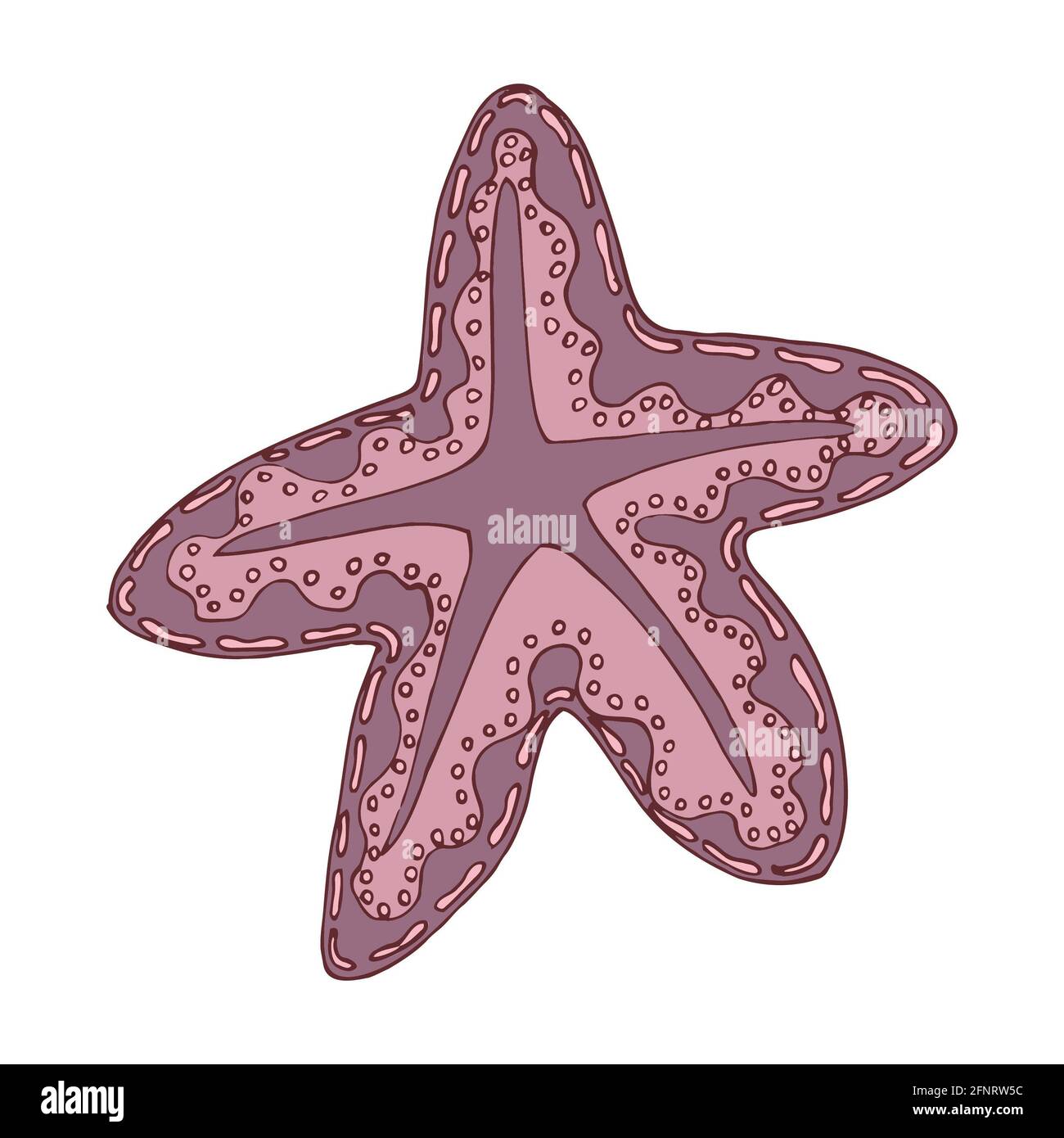 starfish mer vecteur isolé main dessin esquisse rose Banque D'Images