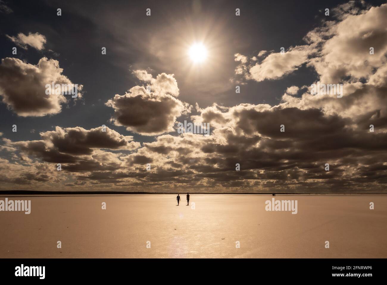 Lac Tyrrell Victoria Australie . Un lac souvent sec en croûte de sel dans le district de Mallee, dans le nord-ouest de Victoria. Banque D'Images