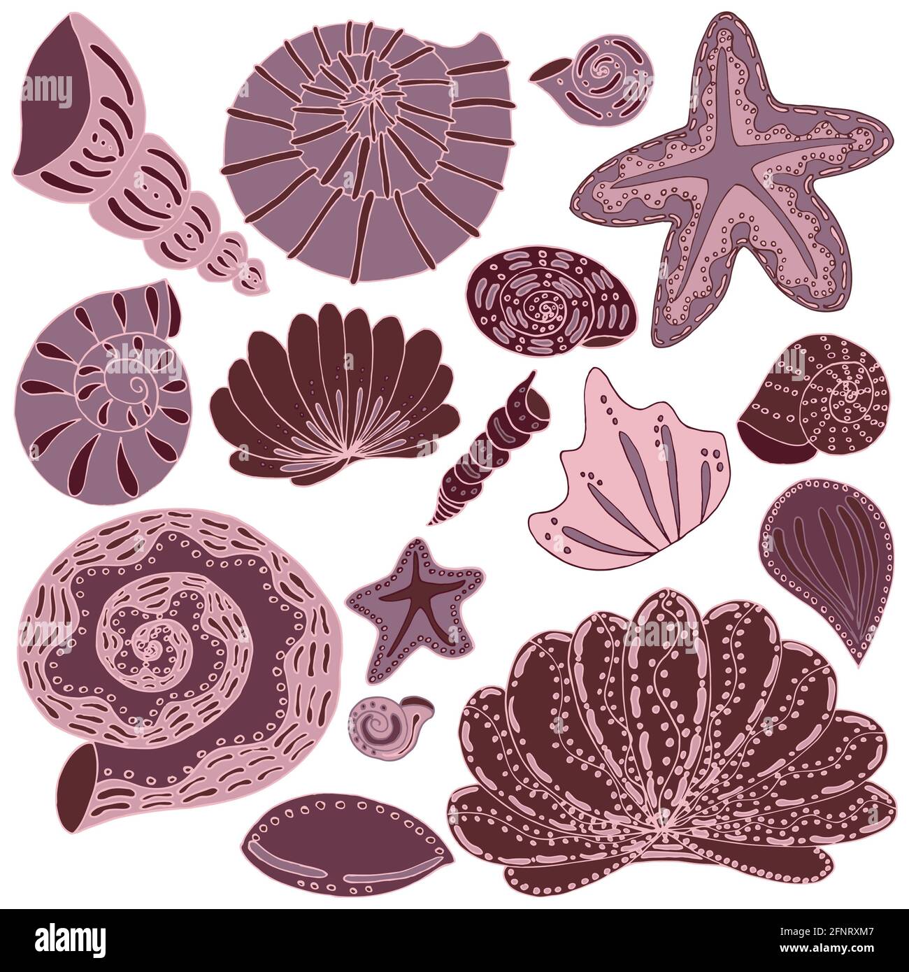 ensemble vectoriel d'objets roses isolés monochromes de coquillages et d'étoiles de mer des mers et des océans du monde sous-marin Banque D'Images