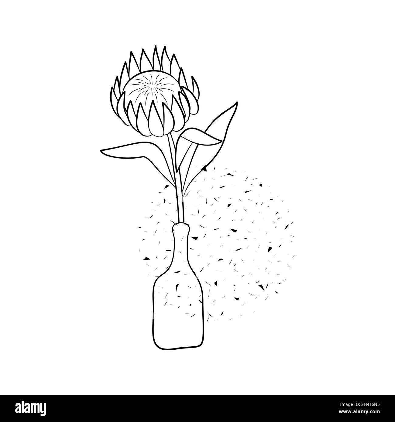 Line art noir ptotea fleur dans vase isolé sur blanc arrière-plan Illustration de Vecteur