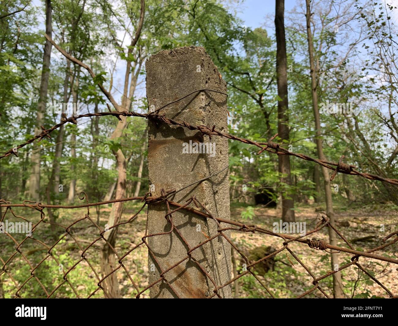 Ancienne clôture endommagée avec une maille métallique dans la forêt Photo Stock Alamy