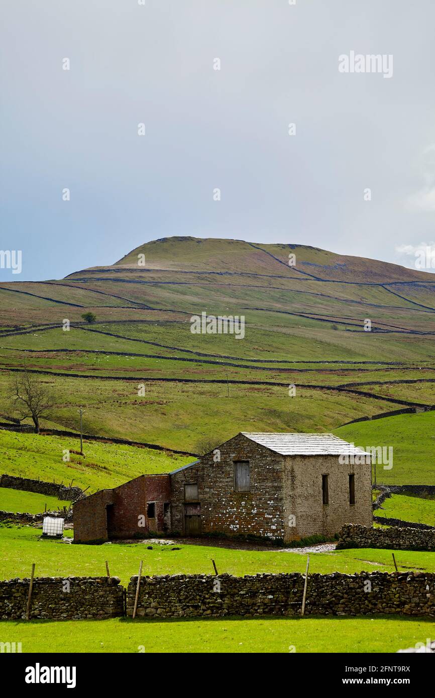 Grange en pierre, champs et chute. Yorkshire Dales. Banque D'Images