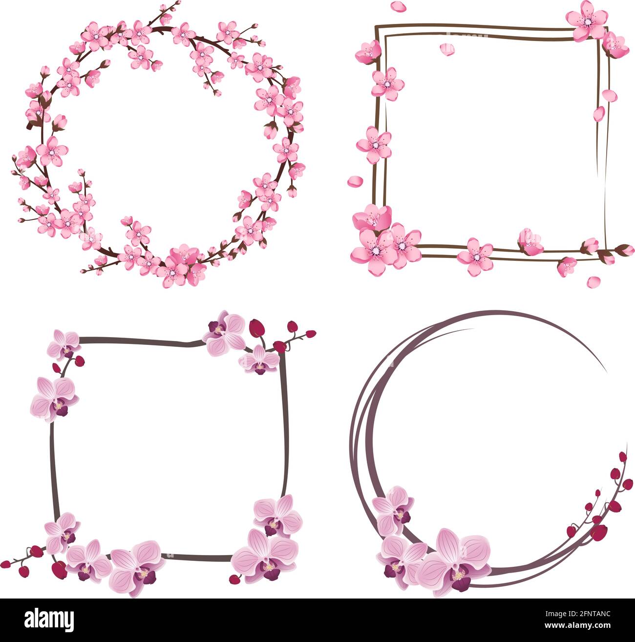 Ensemble de cadres avec des fleurs de sakura et d'orchidées. Jolies couronnes de cerises roses. Décorations de fête pour mariage, vacances, carte postale, poster et design Illustration de Vecteur